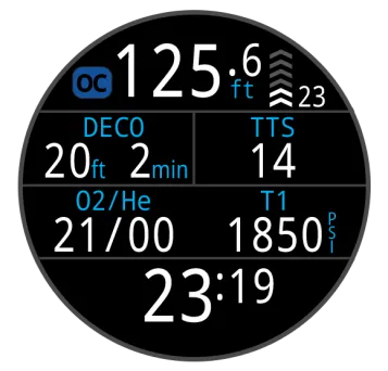 terci octec