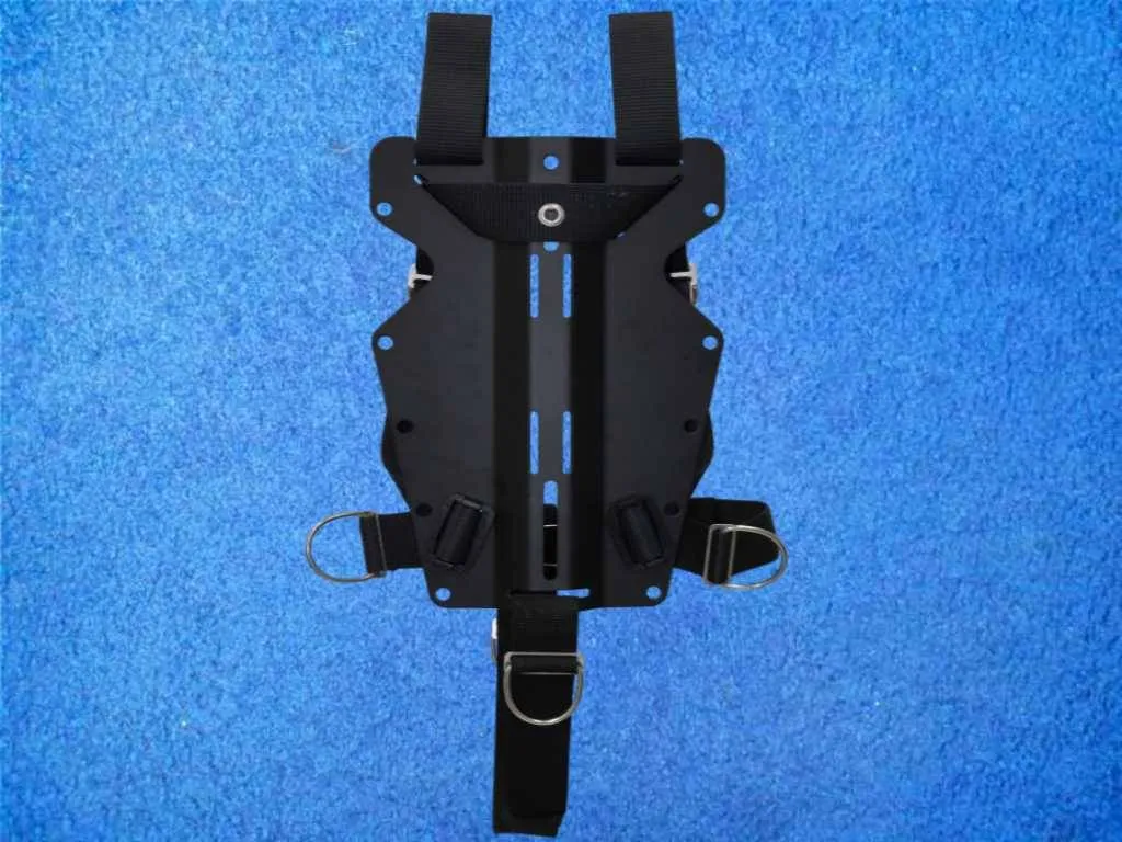 Cobra Harness Tec hinten